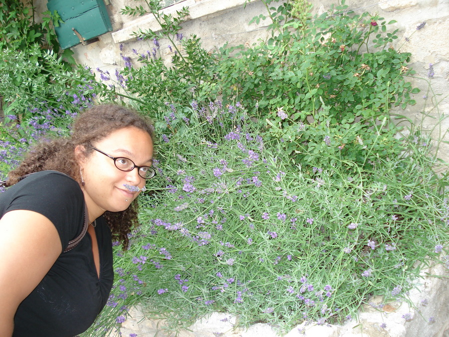 gal/2007-06 photos Vaison/DSC01715.JPG